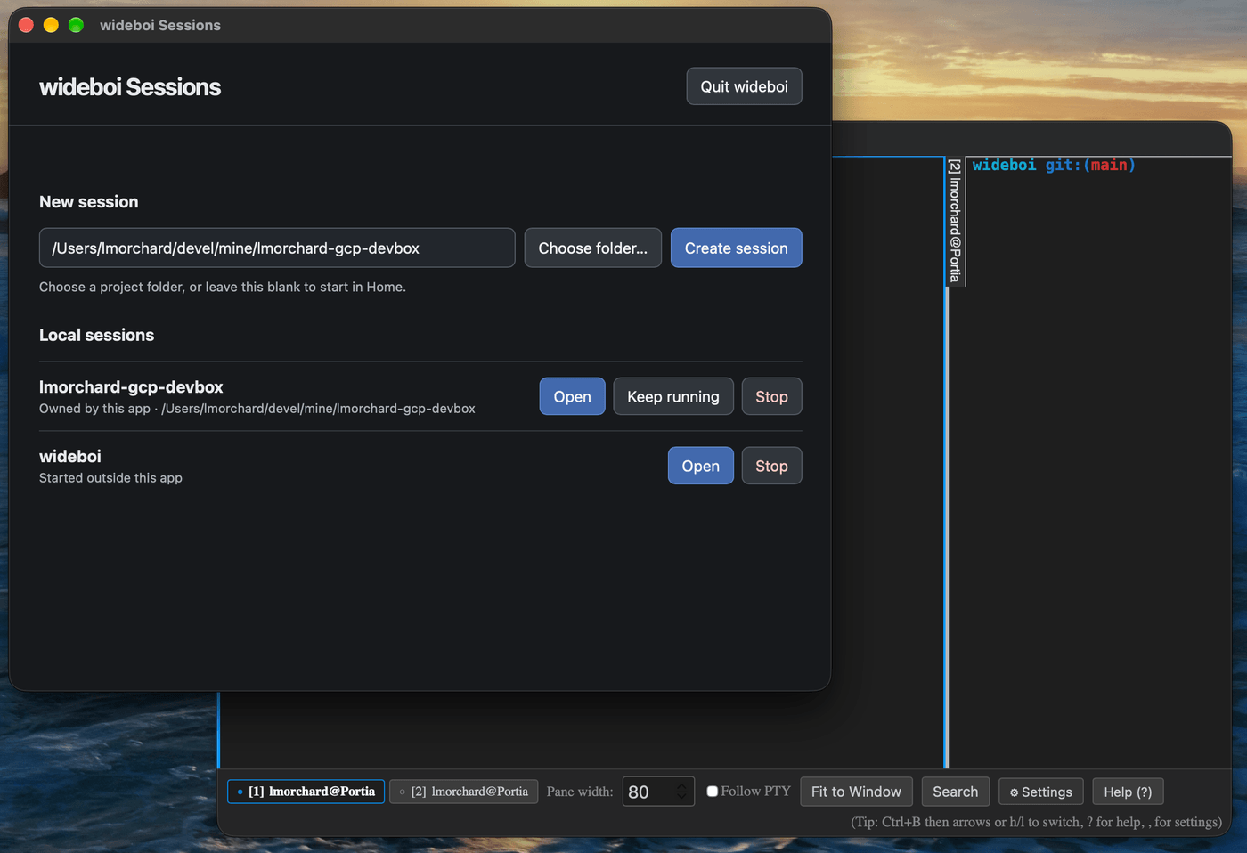 wideboi desktop application window on macOS, managing sessions and displaying terminal cards